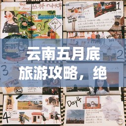 不飞则已 第3页