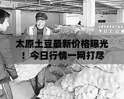 张狂妄行 第3页