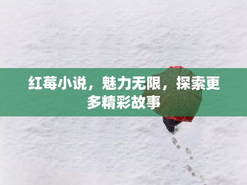 红莓小说，魅力无限，探索更多精彩故事