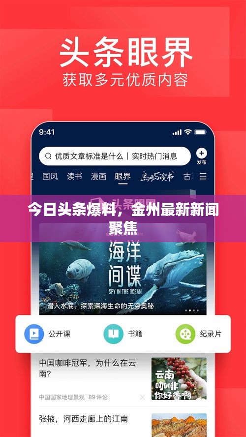 张弛不定 第3页