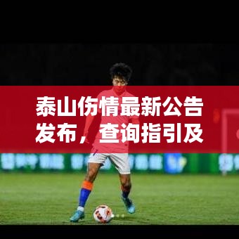 吉光片羽 第3页