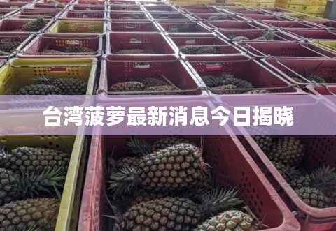 台湾菠萝最新消息今日揭晓