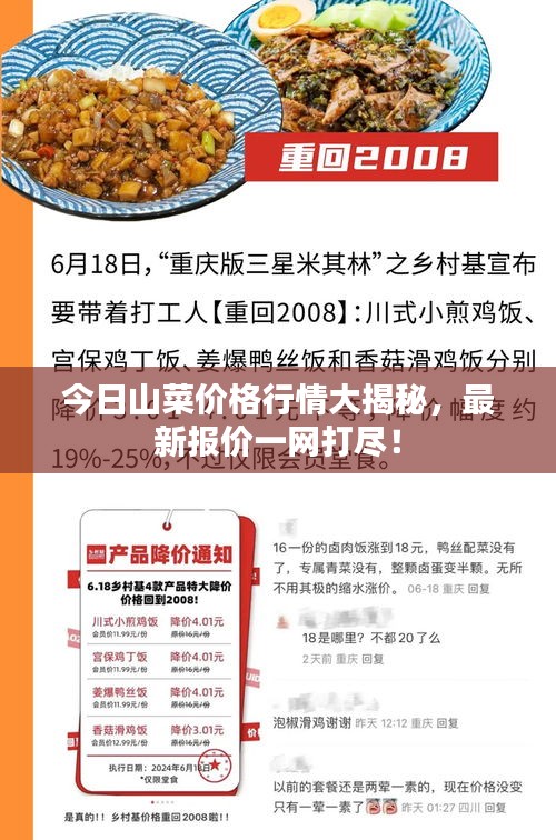 今日山菜价格行情大揭秘，最新报价一网打尽！