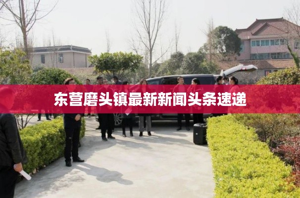 淡妆浓抹 第2页