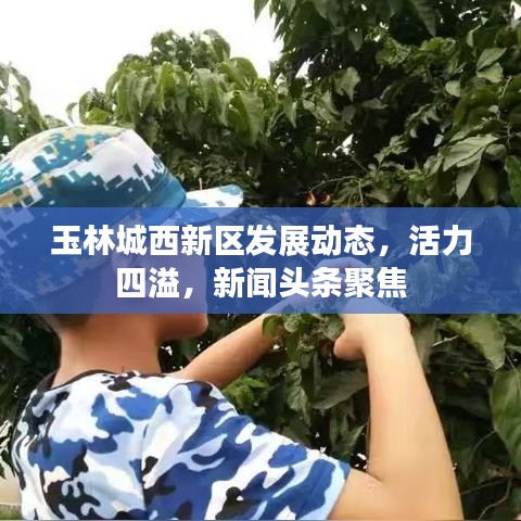 玉林城西新区发展动态，活力四溢，新闻头条聚焦