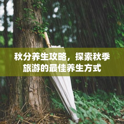 饭来张口 第3页