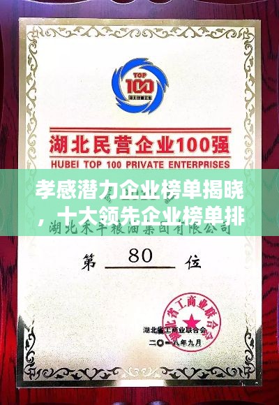 还淳返朴 第3页
