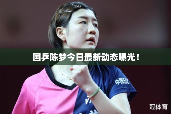 国乒陈梦今日最新动态曝光！