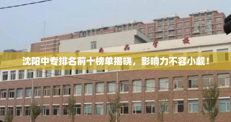 怀真抱素 第2页