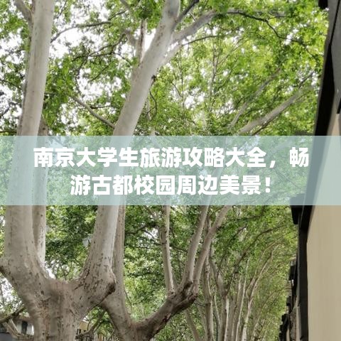南京大学生旅游攻略大全，畅游古都校园周边美景！