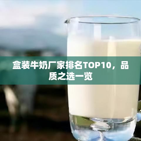 盒装牛奶厂家排名TOP10，品质之选一览