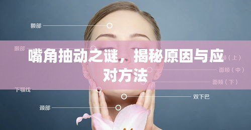 蹑蹻檐簦 第2页