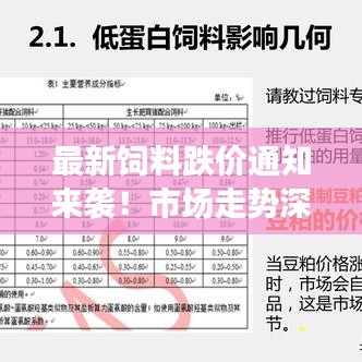 一石三鸟 第2页