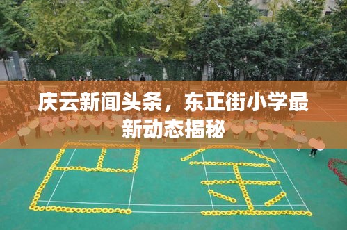 还淳反素 第3页