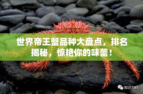 萍水相逢 第3页