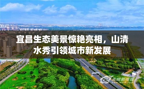 富贵逼人来 第2页