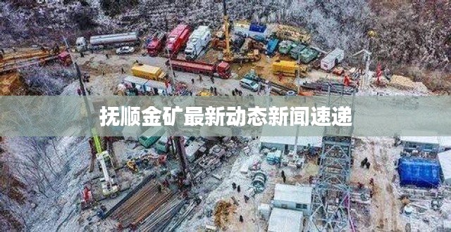 抚顺金矿最新动态新闻速递