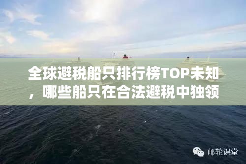 全球避税船只排行榜TOP未知，哪些船只在合法避税中独领风骚？