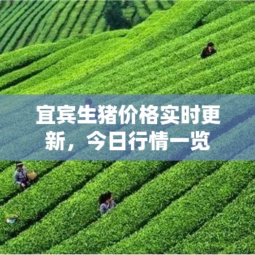如花似玉 第2页