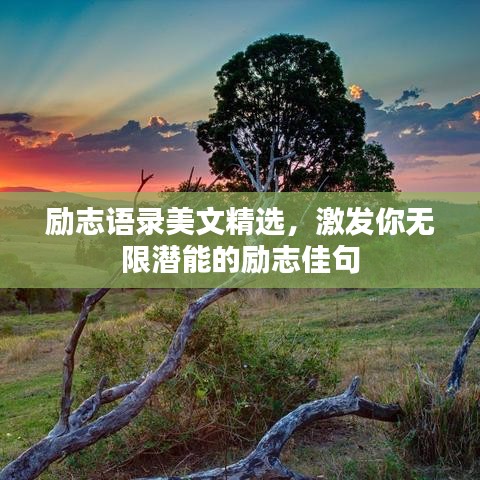 励志语录美文精选，激发你无限潜能的励志佳句