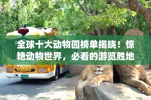 全球十大动物园榜单揭晓！惊艳动物世界，必看的游览胜地