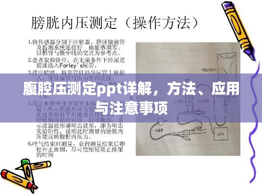 鸟集鳞萃 第2页