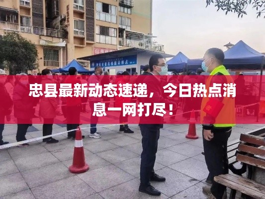 忠县最新动态速递，今日热点消息一网打尽！
