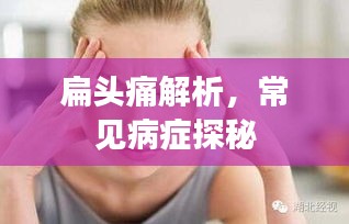 橘虞初梦 第3页