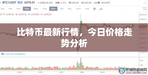 澹泊明志，宁静致远 第3页