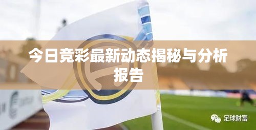 窗明几净 第3页