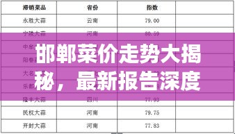邯郸菜价走势大揭秘，最新报告深度解析市场行情