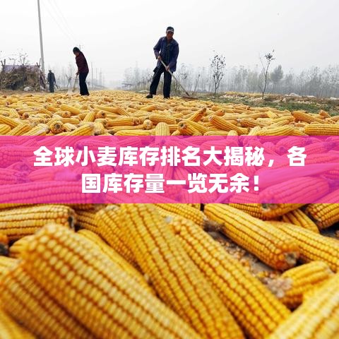 全球小麦库存排名大揭秘，各国库存量一览无余！