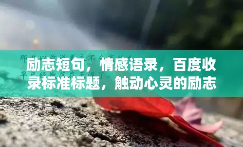 聚精会神 第2页