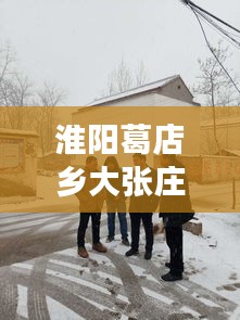 淮阳葛店乡大张庄拆迁最新进展，揭秘最新动态！
