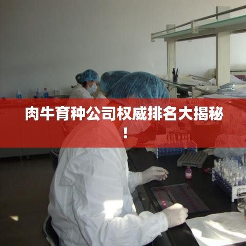 肉牛育种公司权威排名大揭秘！