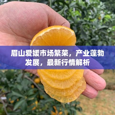 飞潜动植 第2页
