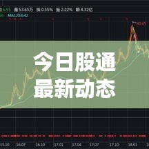 今日股通最新动态，市场走势及投资者关注焦点