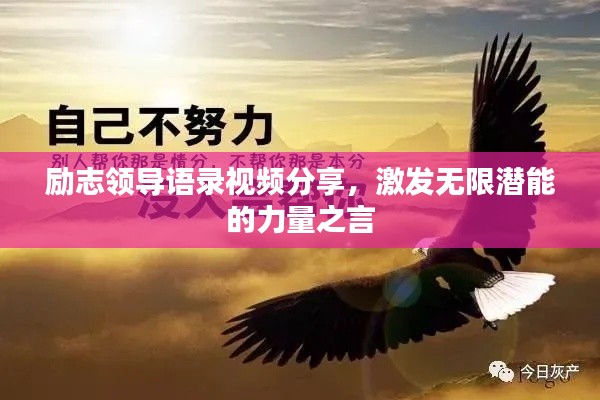 励志领导语录视频分享，激发无限潜能的力量之言