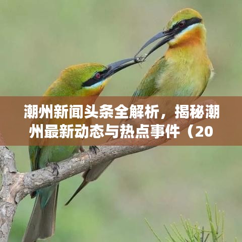 秀色可餐 第3页
