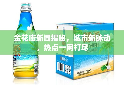 金花街新闻揭秘，城市新脉动，热点一网打尽