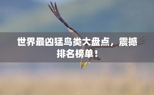 衣不完采 第2页