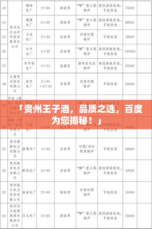 「贵州王子酒，品质之选，百度为您揭秘！」