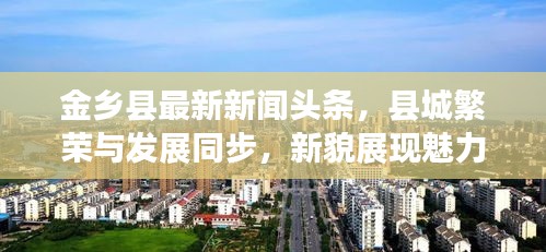 金乡县最新新闻头条，县城繁荣与发展同步，新貌展现魅力风采