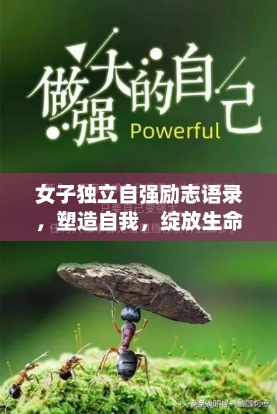 娇小玲珑 第2页