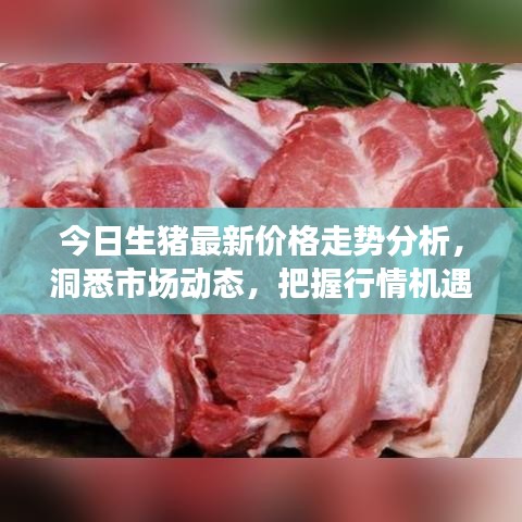 抱朴含真 第2页