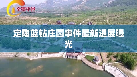 定陶蓝钻庄园事件最新进展曝光