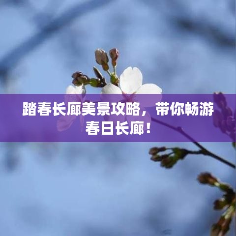 踏春长廊美景攻略，带你畅游春日长廊！