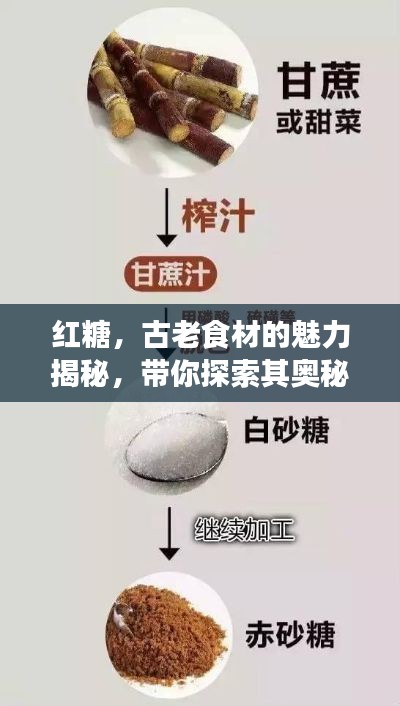 草率收兵 第2页
