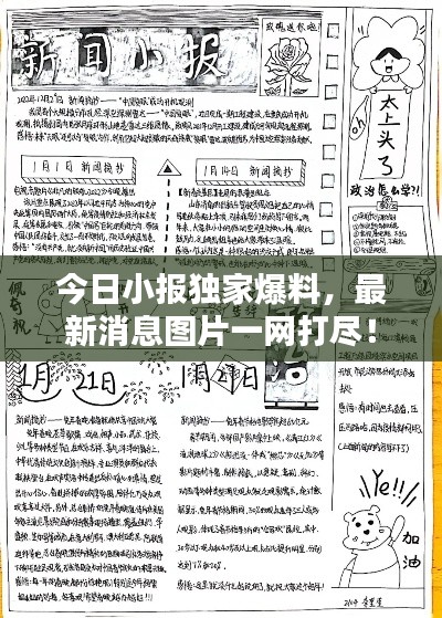 今日小报独家爆料，最新消息图片一网打尽！