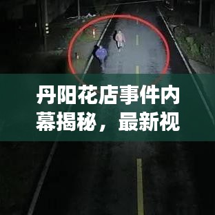 丹阳花店事件内幕揭秘，最新视频动态曝光！